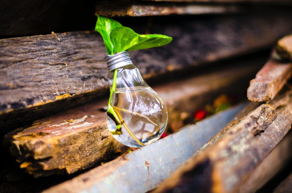 Research & Innovation