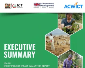 DSA III End Impact Evaluation Report – Executive Summary